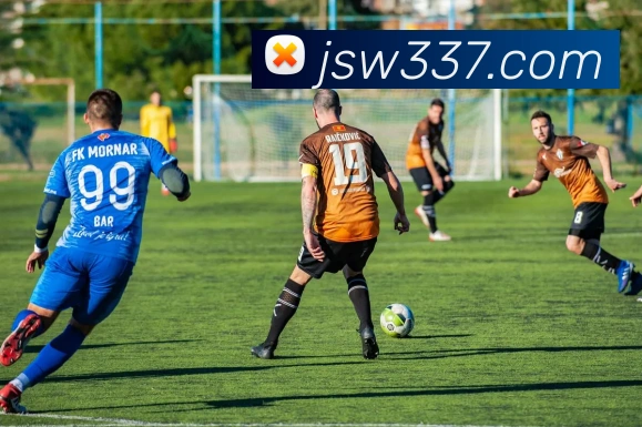 金沙国际娱乐平台生态图